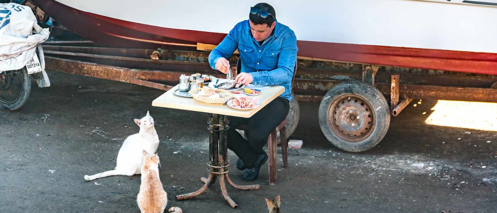 Man in blue jacket eating fish while cats look at him with envy