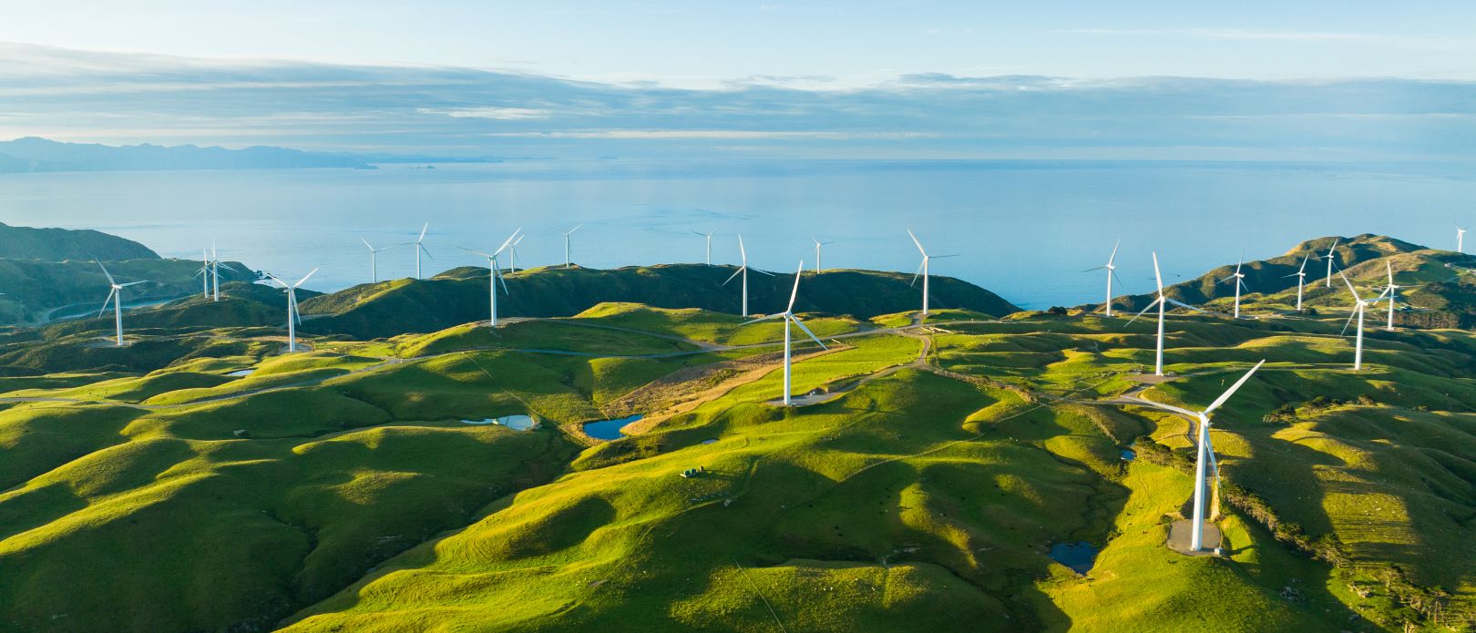 Wind turbines on a green landscape with the ocean in the background.