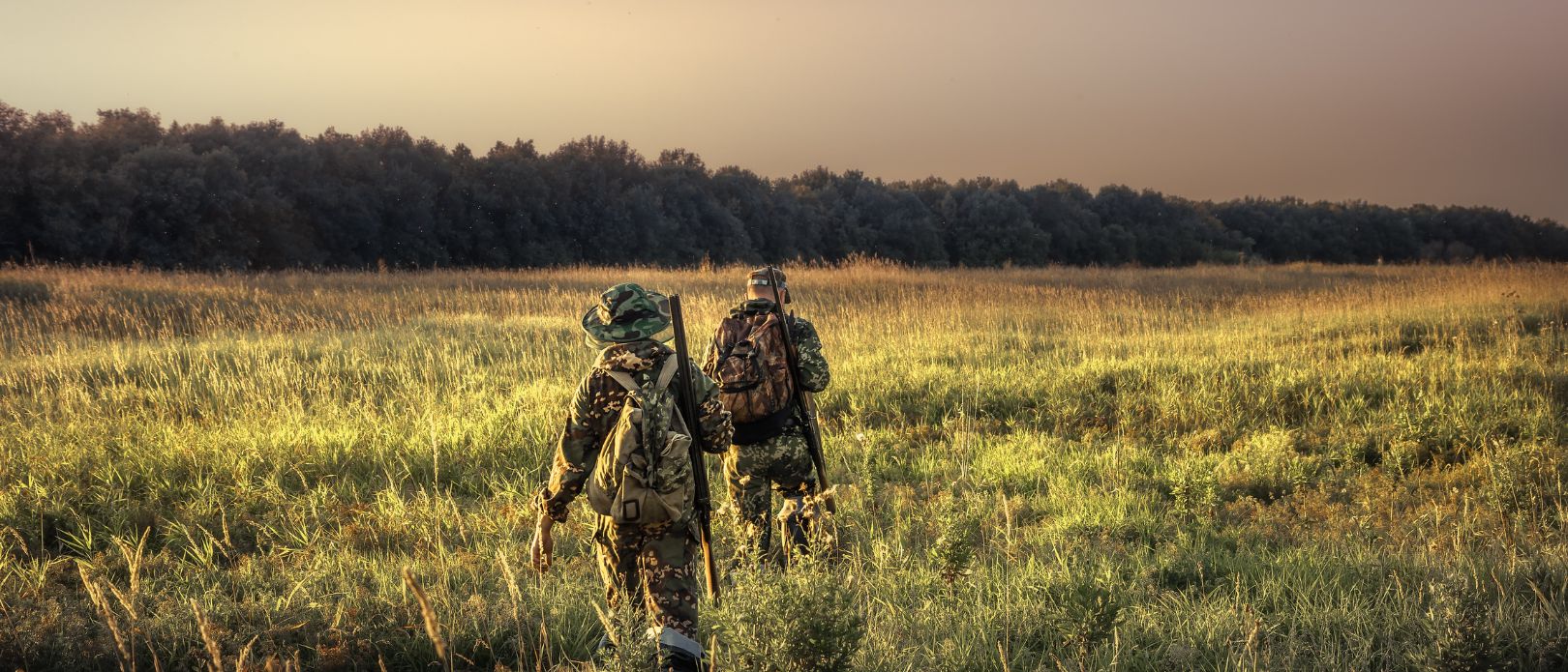 Hunters going through rural field towards forest at sunset during hunting season in countryside
